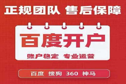SEM托管公司案例分析：数据驱动决策
